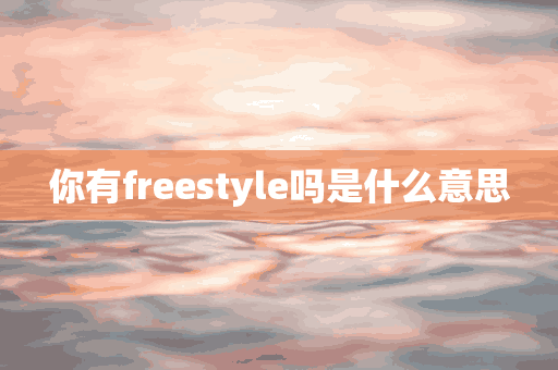 你有freestyle吗是什么意思